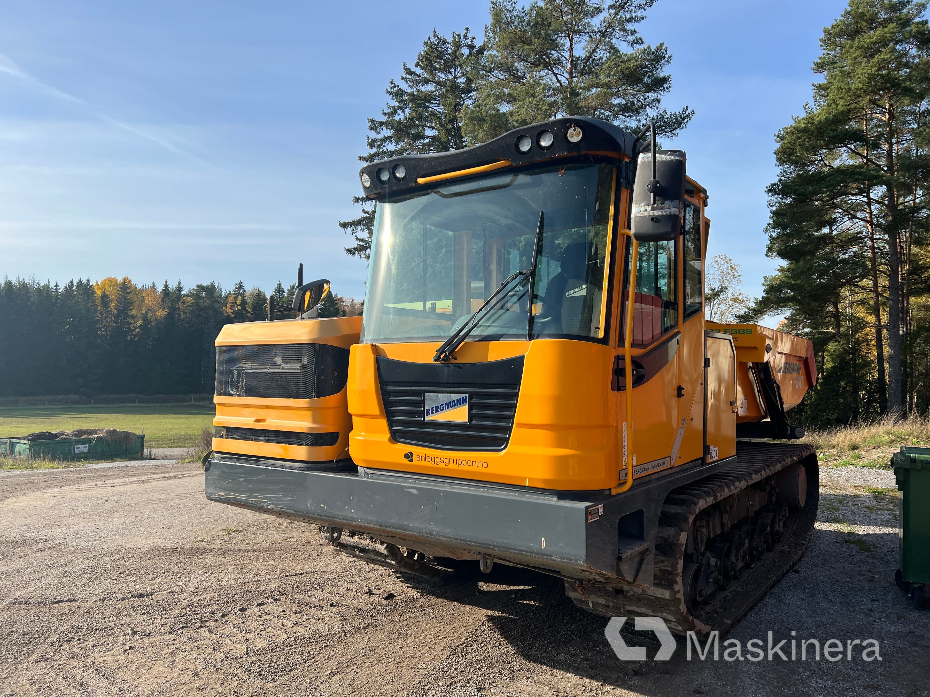 Dumper Bergmann 4010R